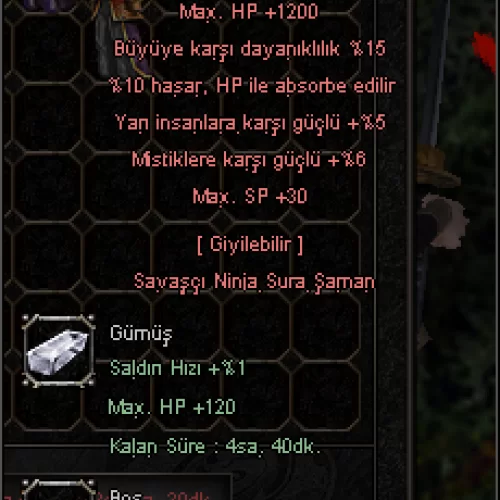  5 YARI - 15 BUYU - 10 HP ABSORBE - +9 GUMUS BILEZIK